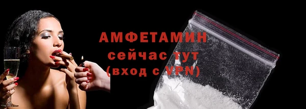 мет Алексин