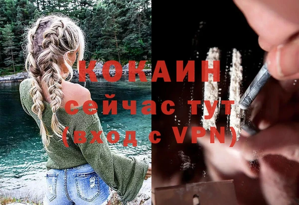 мет Алексин
