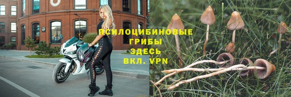 стафф Алексеевка
