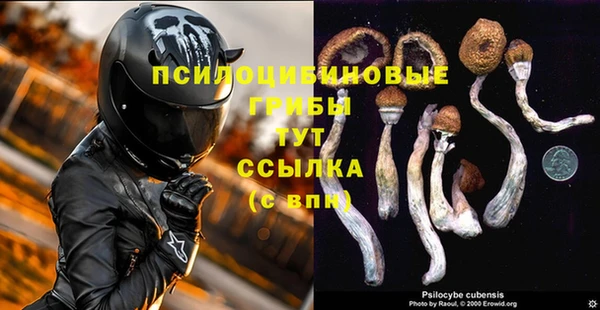 стафф Алексеевка