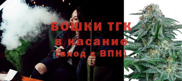 мет Алексин