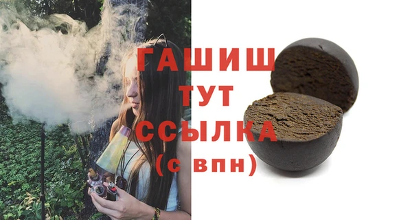 мет Алексин